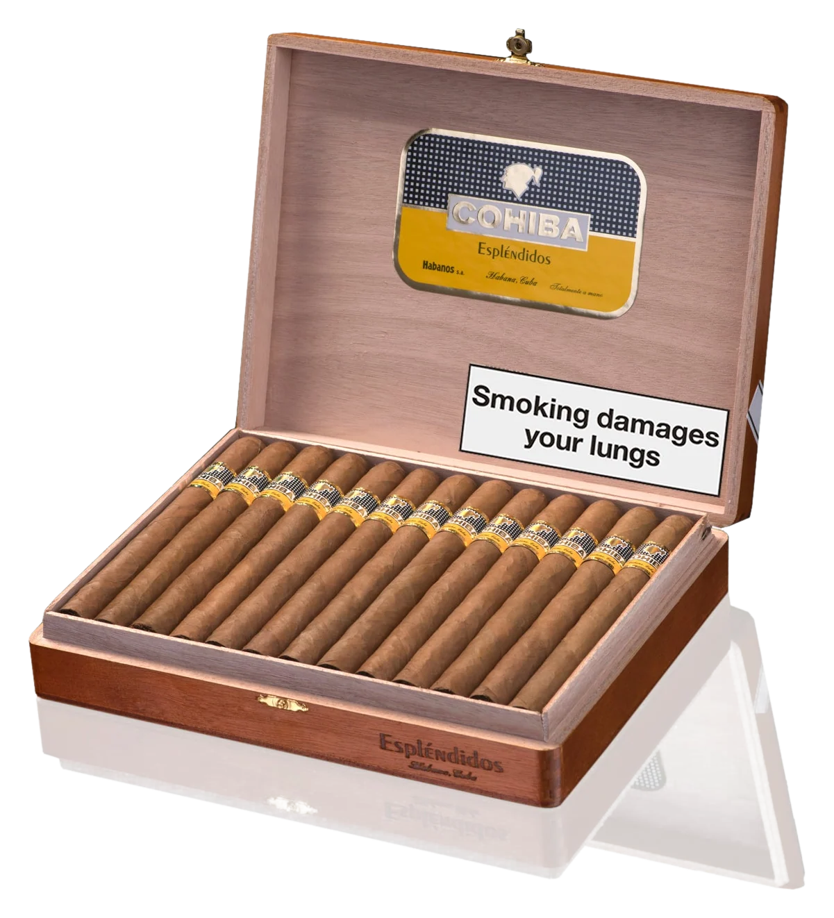 Cohiba Esplendidos Box of 25