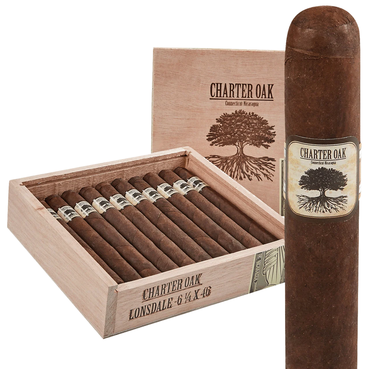 Foundation Charter Oak CT Broadleaf Lonsdale Box of 20